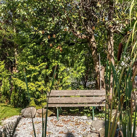 Nicolle In Apartament *